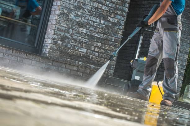 Best Roof Cleaning and Mildew Removal in Pojoaque, NM